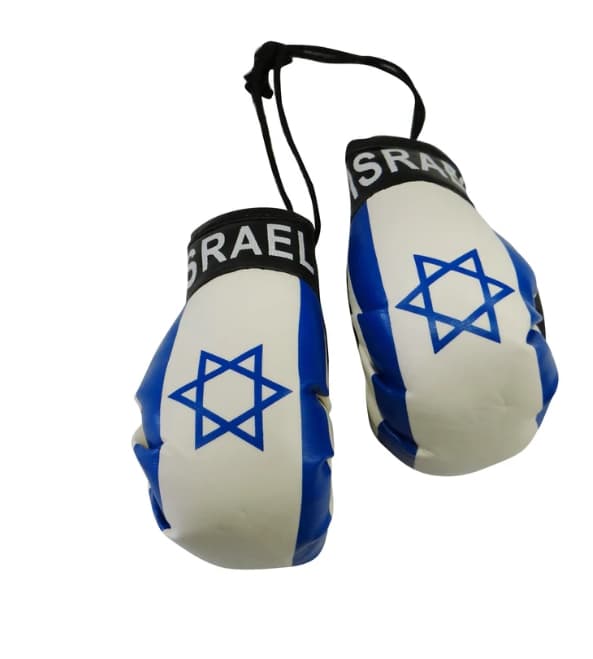 Israel Flag Souvenir Mini Boxing Gloves