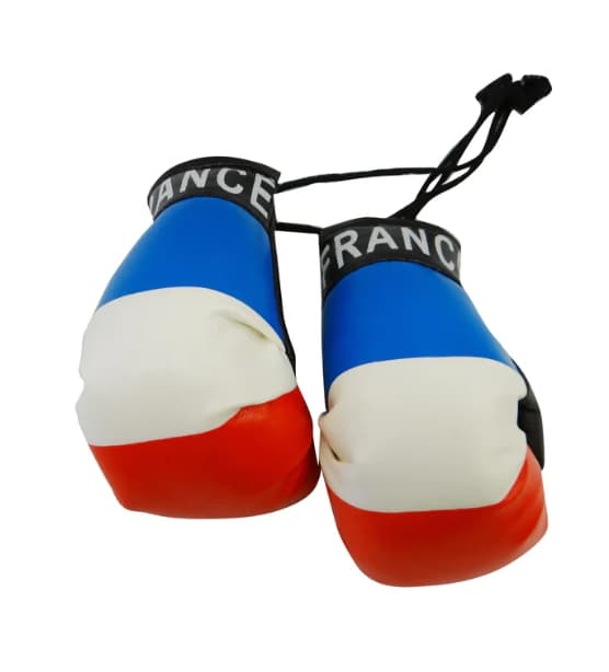 France Flag Souvenir Mini Boxing Gloves