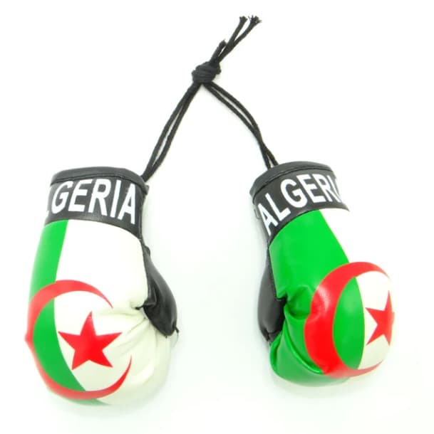 Algeria Flag Souvenir Mini Boxing Gloves